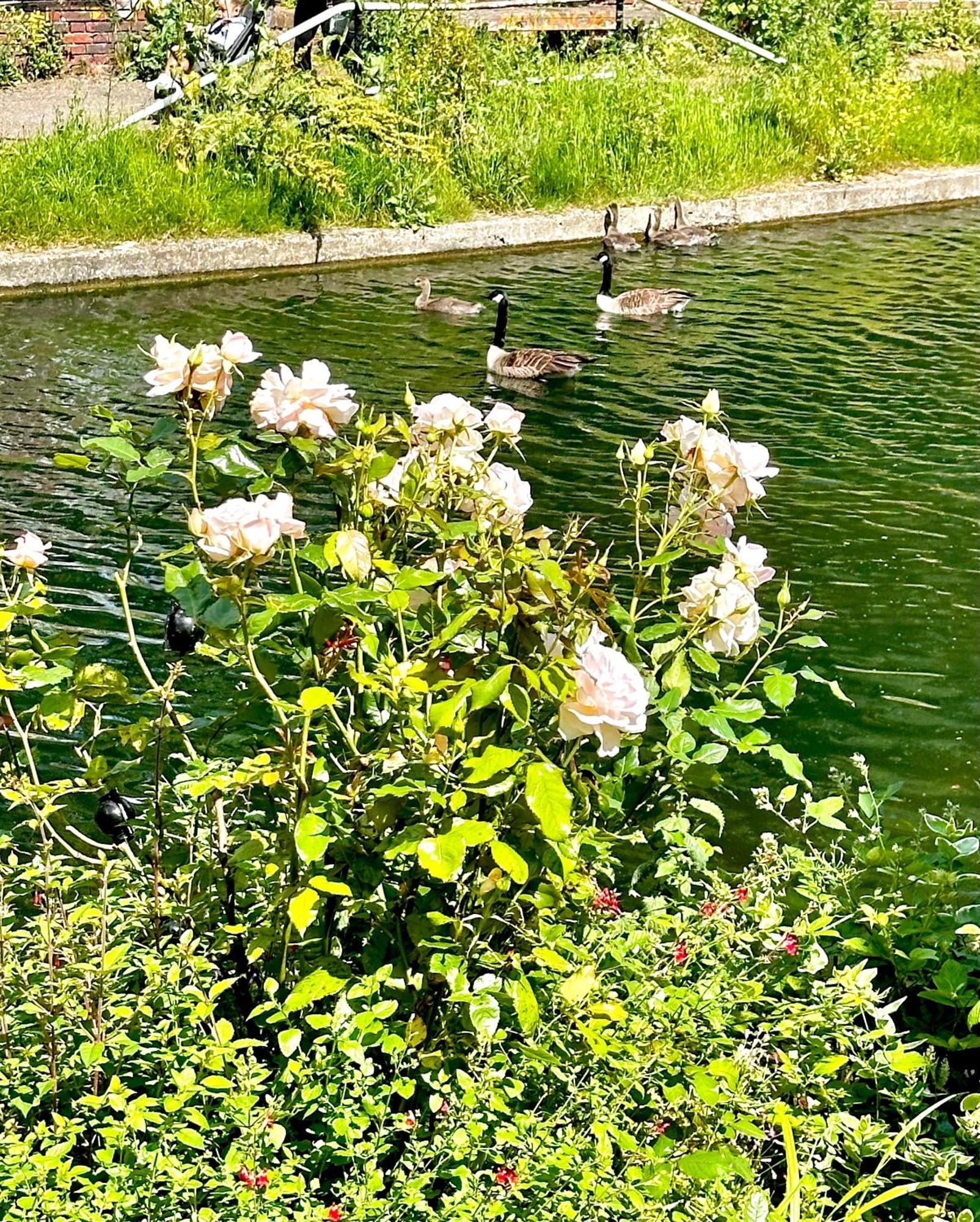 Amazing Location - City Of London- 2 Bedroom Stunning Canal View House With Private Garden,Parking & Balcony Luaran gambar